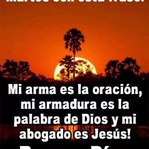 Meet your Posher, Elsa